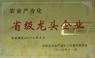省級龍 頭企業